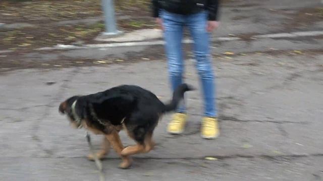 9ea19acd392ad04306991d96075b1ccd