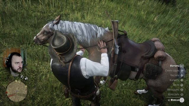 Прохождение Red Dead Redemption 2 на платину!