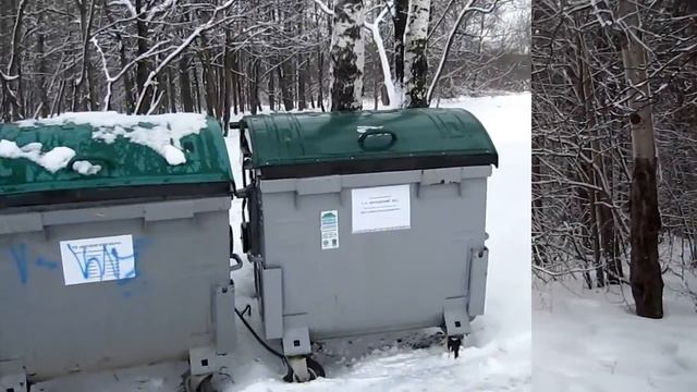 Снежный мартовский релакс :)