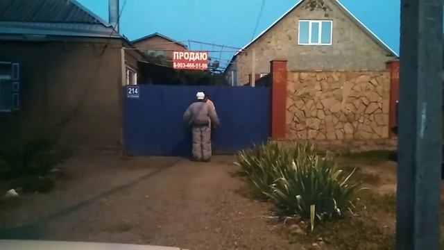 Немецкая овчарка. Нападение около двора.