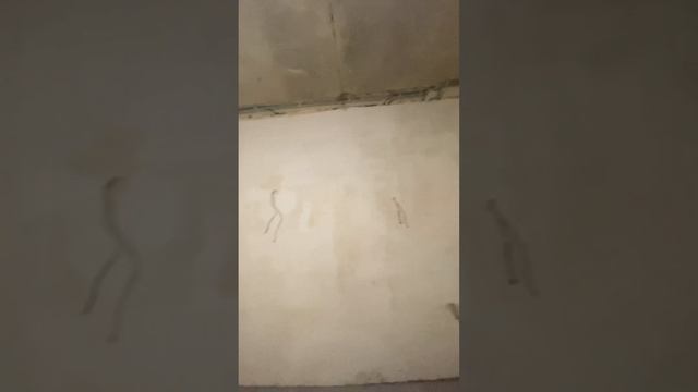 Строительная бригада в г. Грозный  и по всей республик?