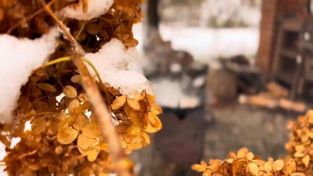 Куриные шкварки в казане