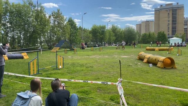 АДЖИЛИТИ  трасса д0 с пуделем в Казани.