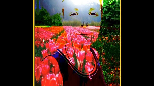 Веселая Карусель.