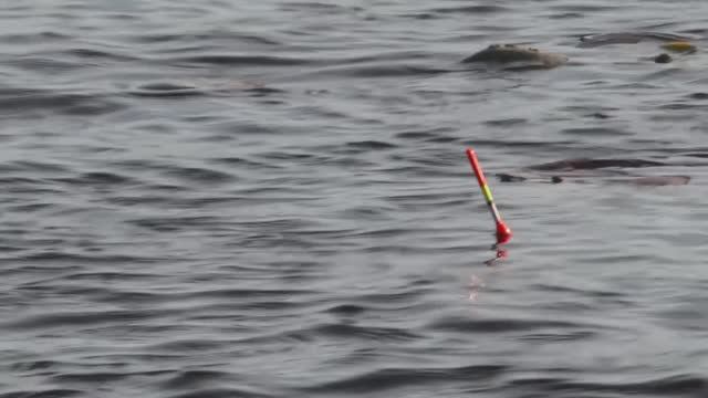 826a6ed5bf55491457736ade3575a5b2