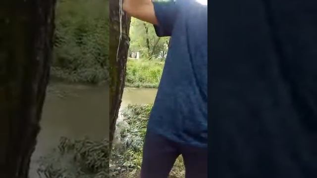 Белка пришла .