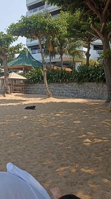 Пляж в Таиланде. Паттайя