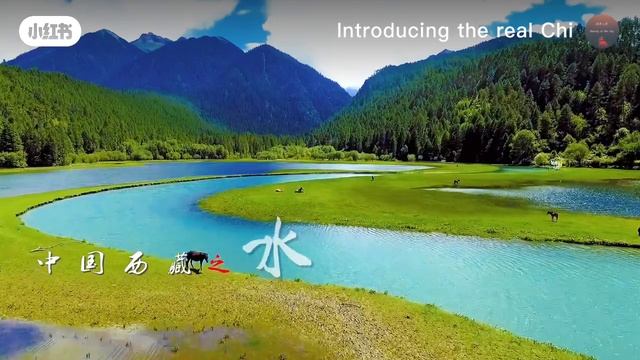 4af31cd1ed723f0d95d88a866d982cc4