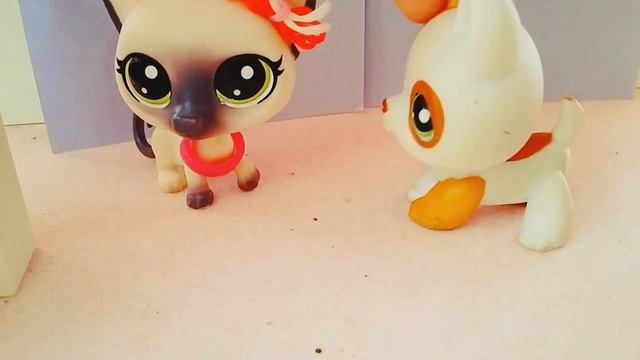 LPS:Горничная.1 серия