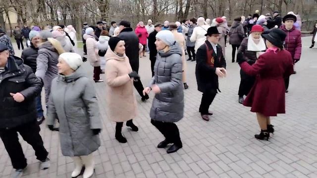 Танцы в Гомеле. 01.02.2025 г.