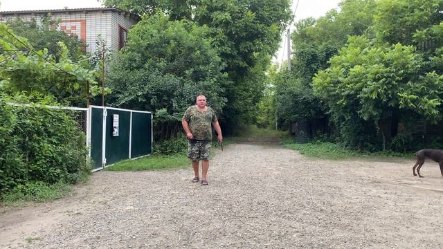 Будни дрессировки! 14 день занятий! Доберман 6 месяцев М