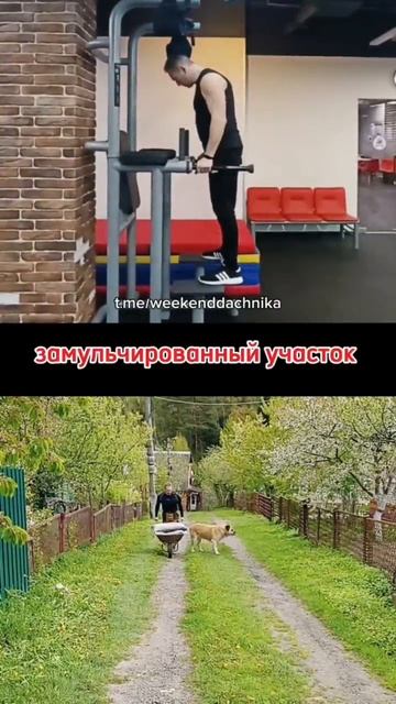 Агрофитнес!