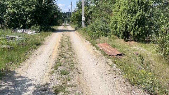 Поездка на природу/ садовые забавы/ тарелка клубники/ ?