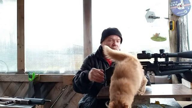 Рыжий помощник.