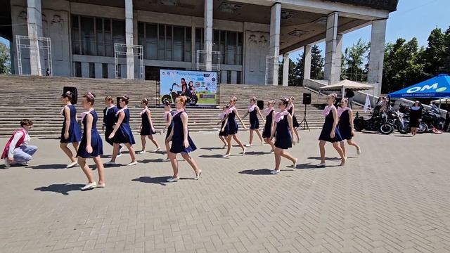 Небесные ласточки