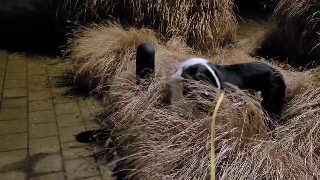 Cbecac442d12327b0e983205d286d5c9