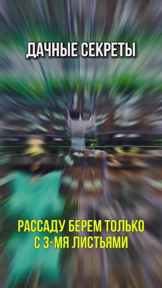 Советы дачникам ⬇️