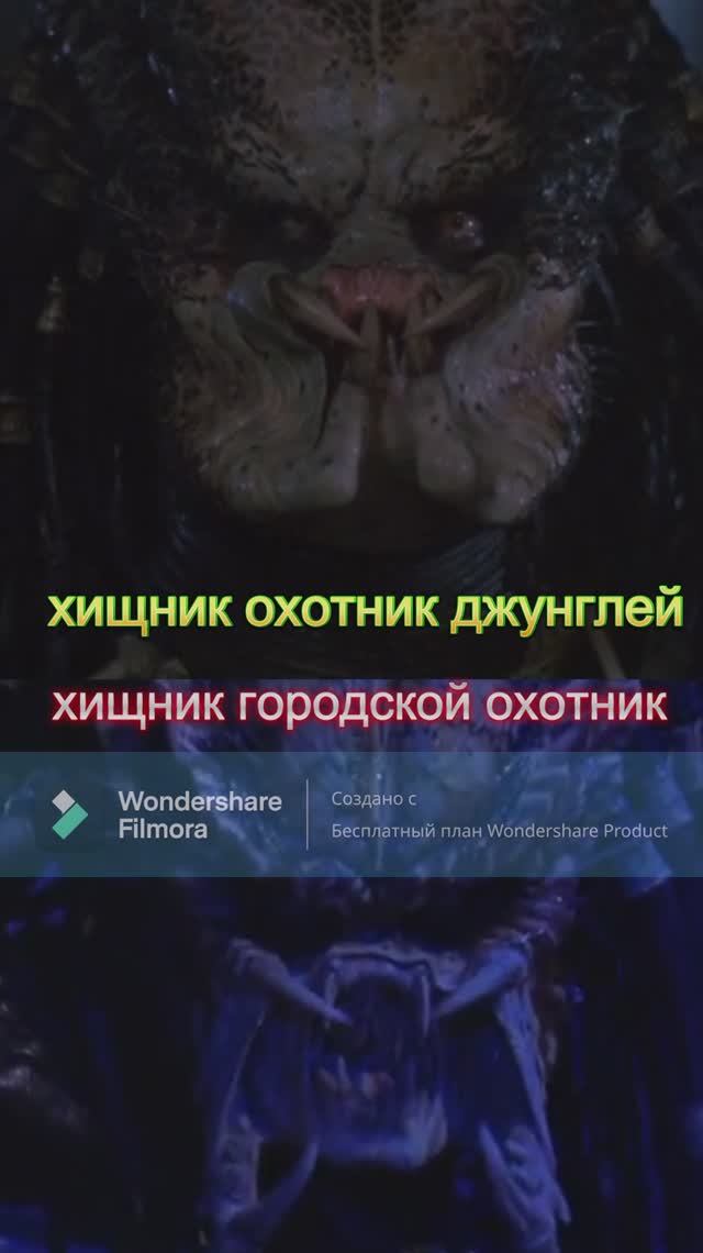 F694f3ca1004441e839d258c95856487