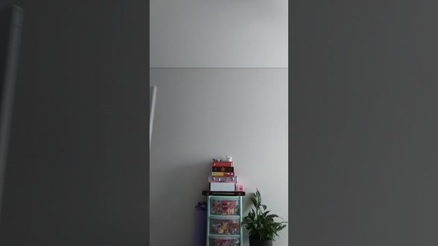 VID_20250523_113207.mp4