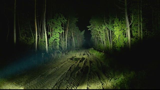 Світлодіодна LED балка Aurora ALO-S6-6-R5H1  90W 24см (біле та жовте