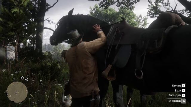 RDR2 Часть 6 Плотва возвращается но в новом стиле
