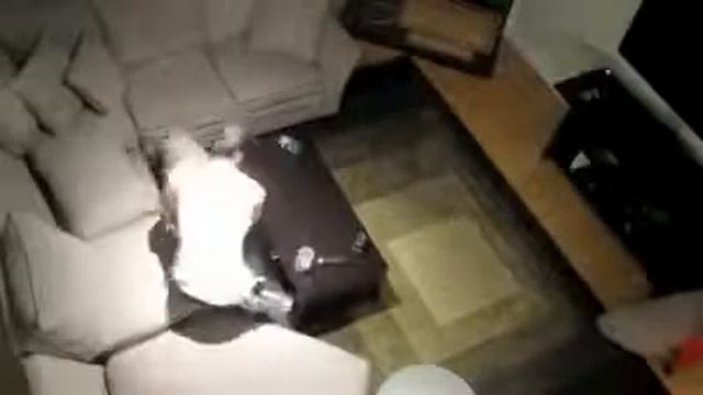 Самый жесткий американский розыгрыш