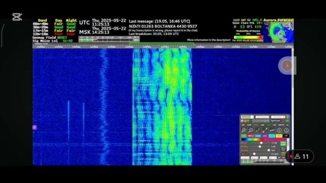 Радиостанция «Судного дня» передала два загадочных сообщения — «беззлобие» и «хрюкостяг»