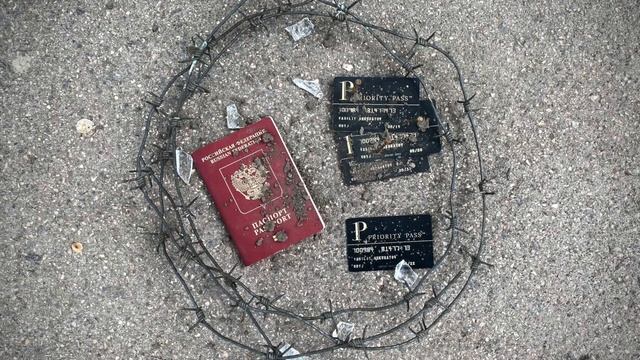 VasyaChet - Перелетною птицей