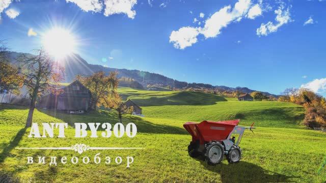 Мини-думпер ANT BY300