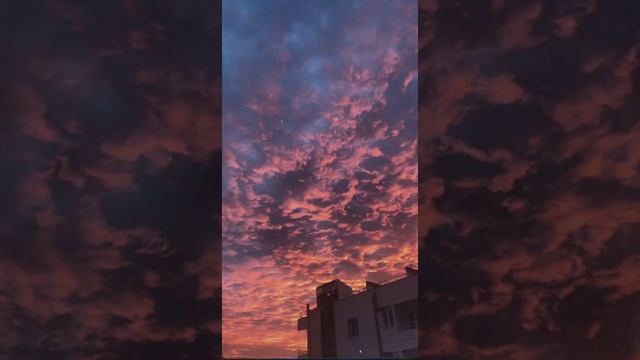 T. Fest×помутнел алый закат (ice3erg Remix)