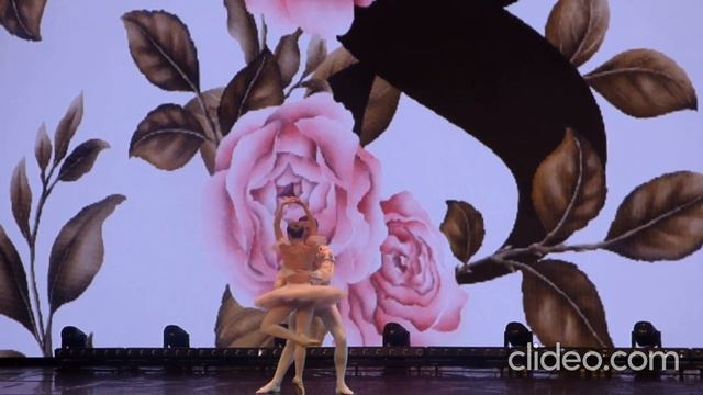 3f81af12c749d82d8625cd18ba1e753f