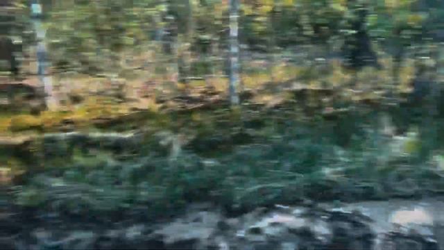 КВАДРО ПУТЬ - прокат квадроциклов 4x4! Linhai-Yamaha