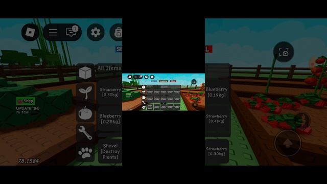 с первым днём лета !!!