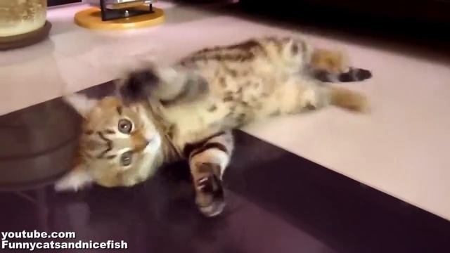 3ca485a6da4e7951799e847782a68e9b