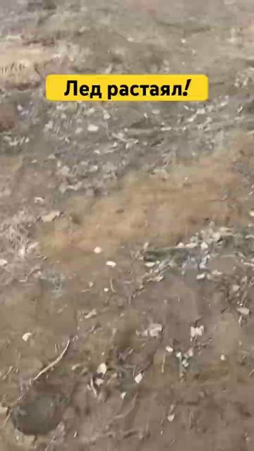 7a1973b0d211550cc5cb534044fa7680