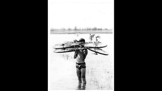 Шут его знает что