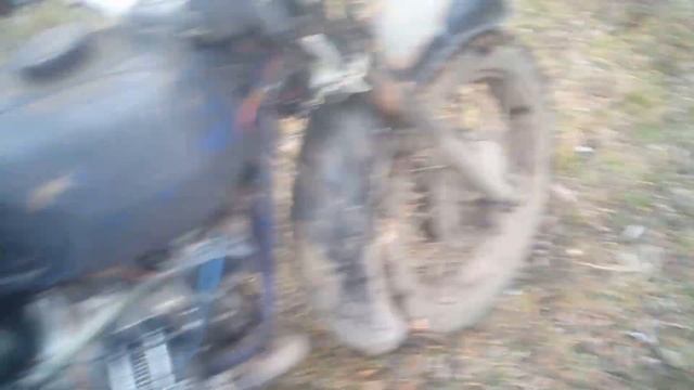 Мт 11 MURAVEI 8 TREPTE