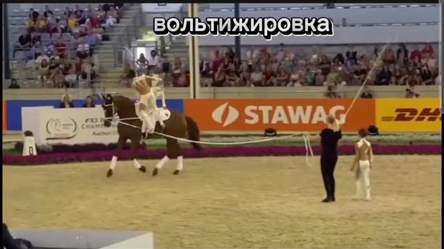 мини видео про виды спорта