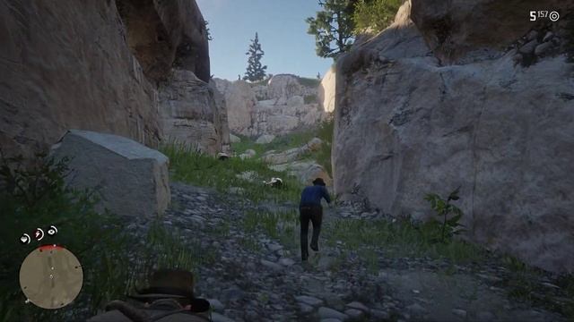 Red Dead Redemption 2  Спасение Шона