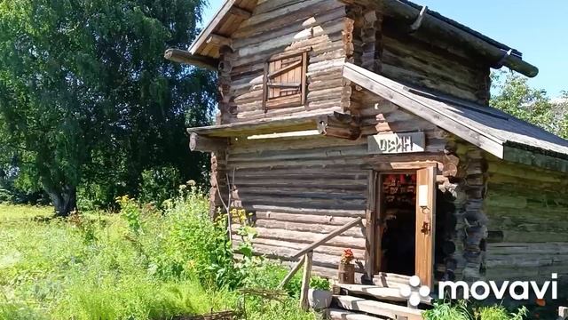 Деревня Мандроги. Ленинградская обл. Июль 2024.