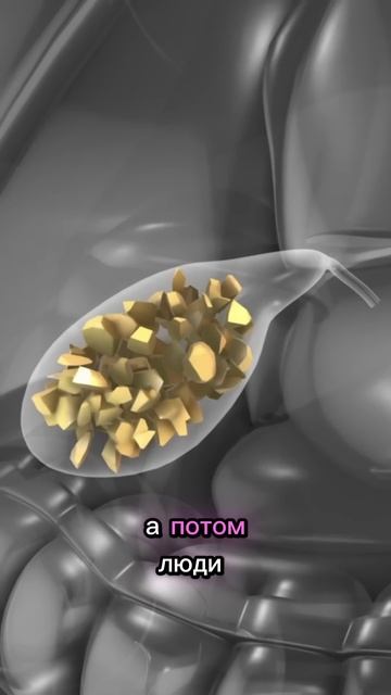 3186f6e7041004c2c75e3081c8c6cb81