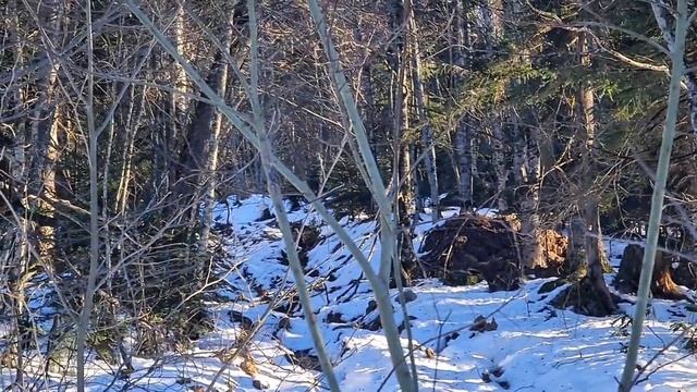 Горная Адыгея. Гузерипль. Гора Казачья