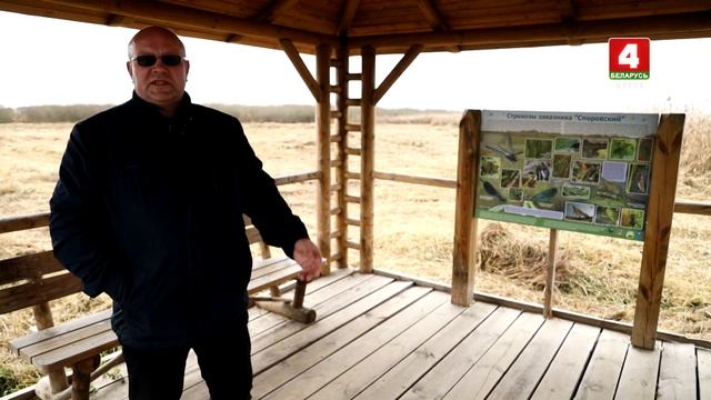 МОЙ ВЫБОР - СОХРАНИТЬ БЕЛАРУСЬ 20.11.2024