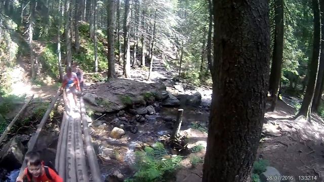 Карпати Говерла Верховиңа Черемош 2016