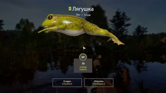 Озеро комариное . Русская рыбалка 4 . Russian Fish 4 . 俄罗斯钓鱼