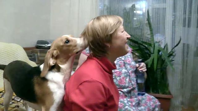 F8707d01c97eb7b907675f319a791bd9