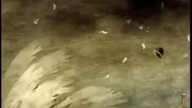 Ещё раз! Студия А. Петрова, 2010.