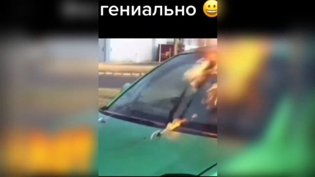 Русские приколы 2022. Приколы для взрослых. Лучшие ПРИКОЛЫ. Я ржал до слез, 10 минут#62