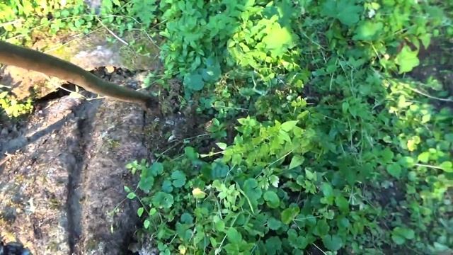 Бялата вода,между х.Персенк и х.Изгрев