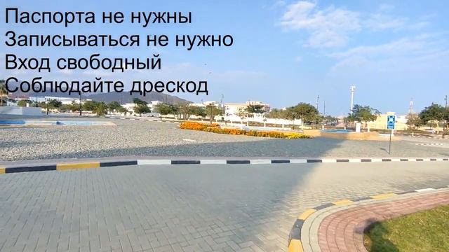 ОАЭ в декабре. Фуджейра.